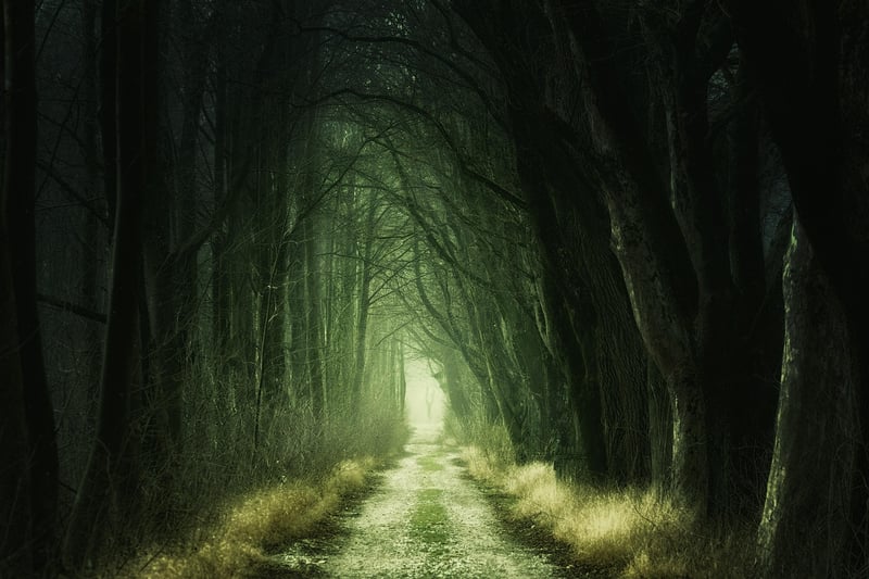 Magical Woodland Decor